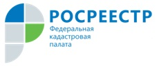 Кадастровая палата рассказала об особенностях  выдачи электронных подписей в 2022 году