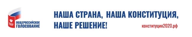 Подготовка к проведению общероссийского голосования возобновлена